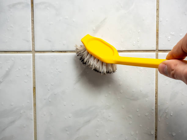 Best Mold Testing and Inspection Services in Stoughton, WI