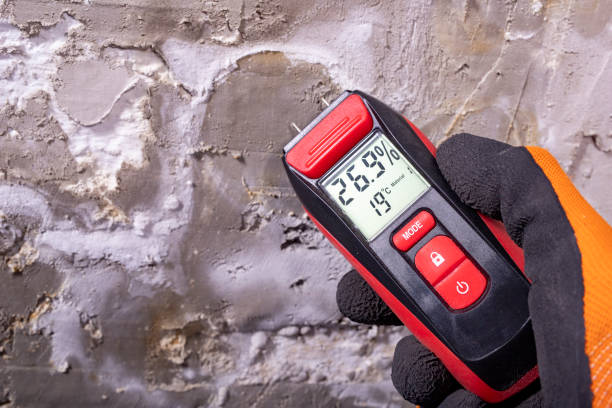 Best Localized Mold Remediation (e.g., coastal areas, humid climates) in Stoughton, WI