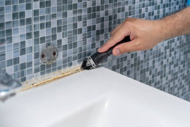 Best Post-Flood Mold Remediation in Stoughton, WI